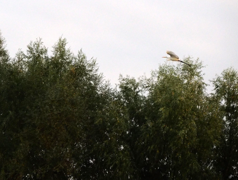 02250