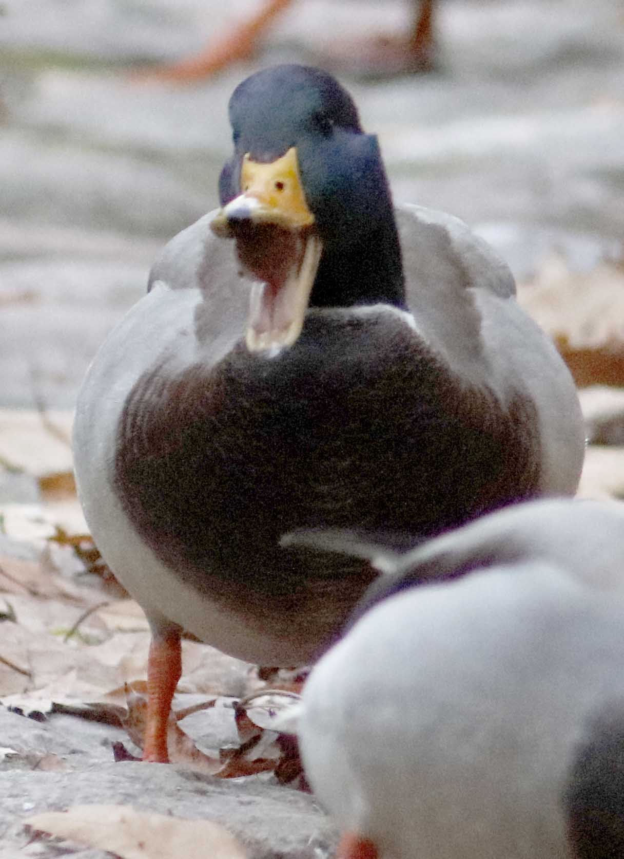 02150